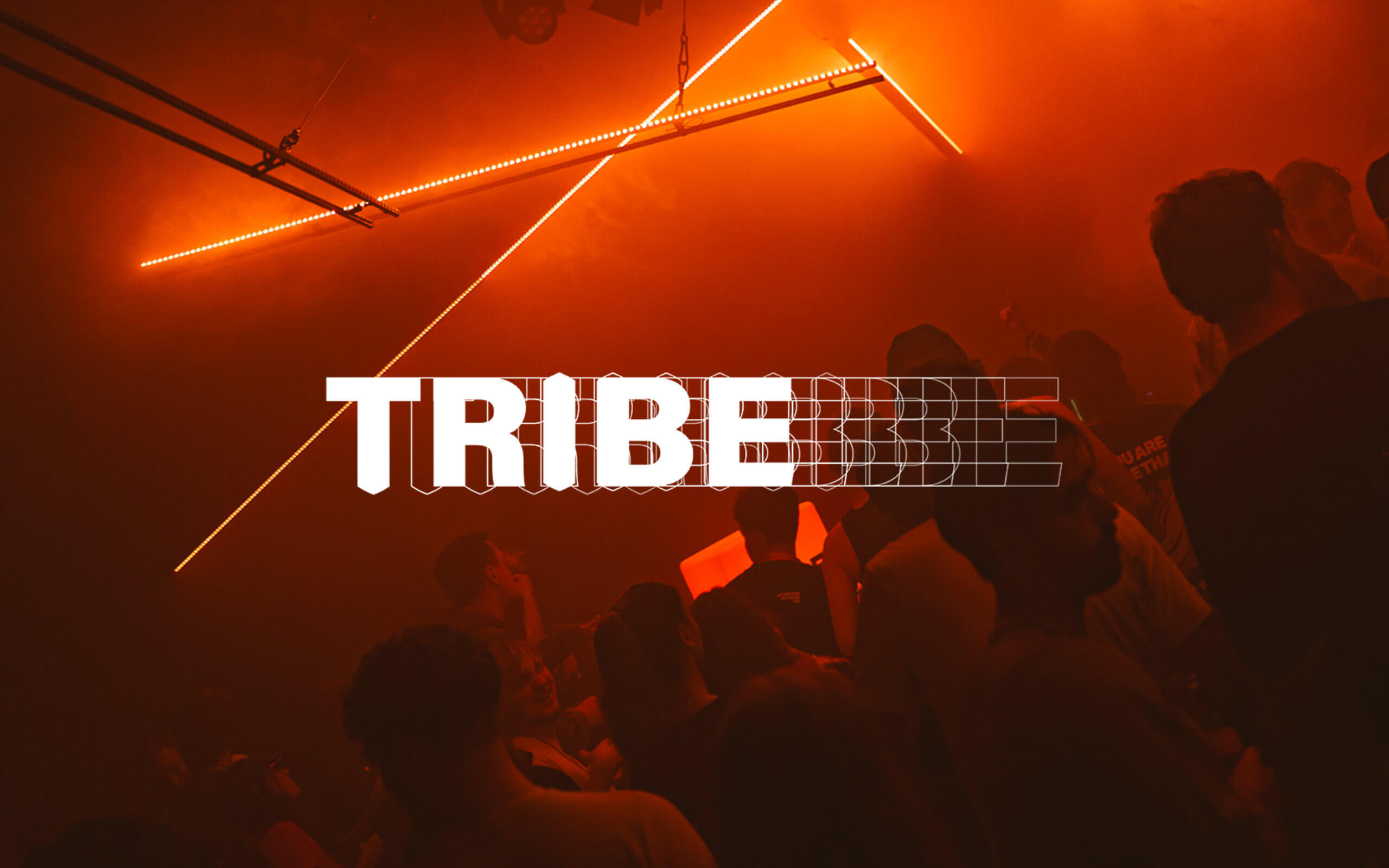 TRIBE x Pier15